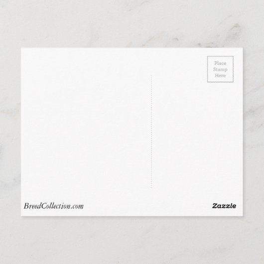 英語セッターが森の木を飾っている ポストカード (裏面)