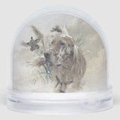 英語セッター (裏面)