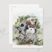 英語セッター インビテーションポストカード (正面/裏面)