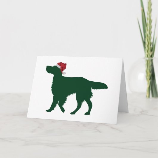 英語セッター カード (正面)