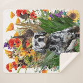 英語セッター シェルパブランケット (正面(横))