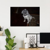 英語セッター ポスター (ホームオフィス)