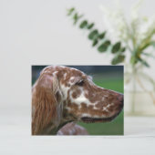 英語セッター ポストカード (スタンド正面)