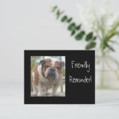 英語フレンドリーのブルドッグポストカードをアラーム ポストカード (スタンド正面)