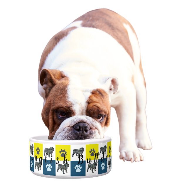 英語ブルドッグ&ポーイエロー&ブルーグリッド2 ボウル (English Bulldog bowl)