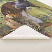 英語ポインタ シェルパブランケット (3/4)