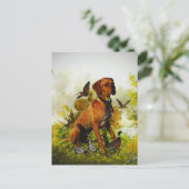 英語ポインタ、鳥狩り ポストカード (スタンド正面)