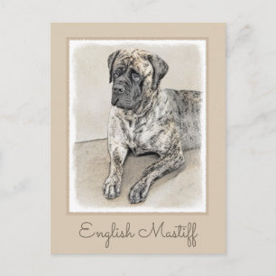 英語マスティフ（ブリンドル） 絵画ズ – Dog Art ポストカード