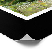 英語圏 ポスター (角)