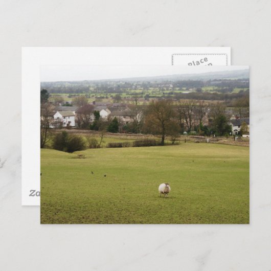 英語圏 ポストカード (正面/裏面)