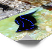 英語版： Jeweles of Under Water Siquijor ポスター (角)