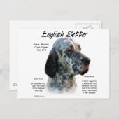 英語設定ツールの履歴デザイン ポストカード (正面/裏面)