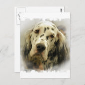 英語設定ポストカード ポストカード (正面/裏面)