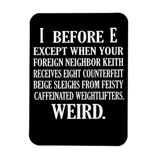 英語風変わり先生文法教え マグネット (縦)