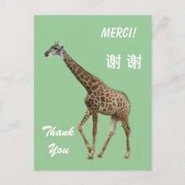 英語/フランスの/中国のサンキューカード ポストカード