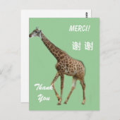 英語/フランスの/中国のサンキューカード ポストカード (正面/裏面)