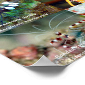 英語：マクロ美しい- Sea- in Siquijor ポスター (角)