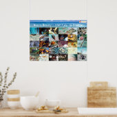 英語：マクロ美しい- Sea- in Siquijor ポスター (キッチン)