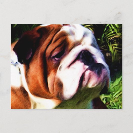 英語Bulldogはがき ポストカード (正面)
