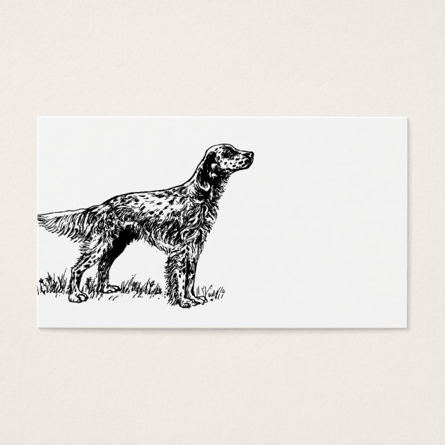 英語setterスケッチ.png (正面)