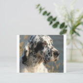 英語setter 2.png ポストカード (スタンド正面)