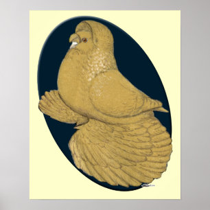英語Trumpeter Pigeon:黄色い楕円形 ポスター