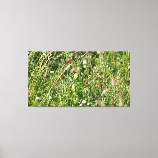 英野草地 キャンバスプリント (正面)