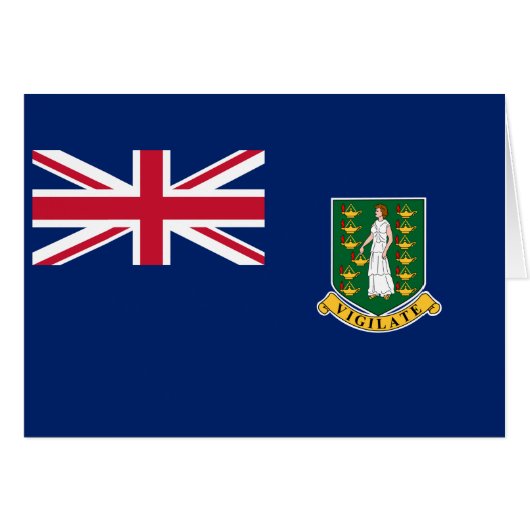 英領バージン諸島の旗 (正面横)