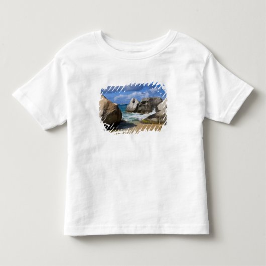 英領バージン諸島 バージンゴルダの海岸 トドラーTシャツ (正面)