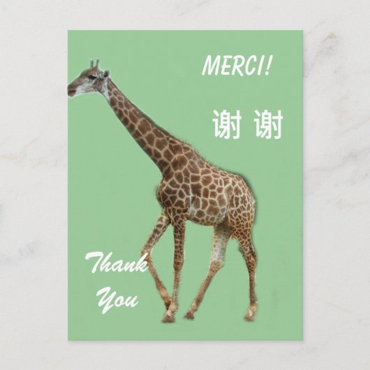 英/仏/中国語の感謝カード ポストカード (正面)