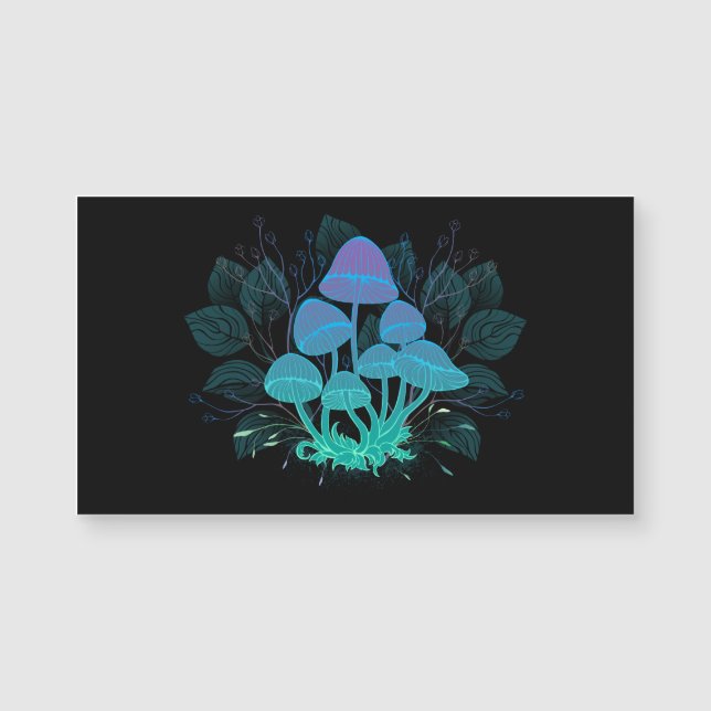 茂みの中のトアドストール (正面)