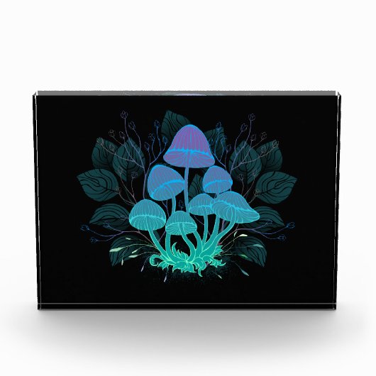 茂みの中のトアドストール フォトブロック (正面)