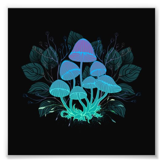 茂みの中のトアドストール フォトプリント            (正面)