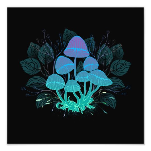 茂みの中のトアドストール フォトプリント            (正面)