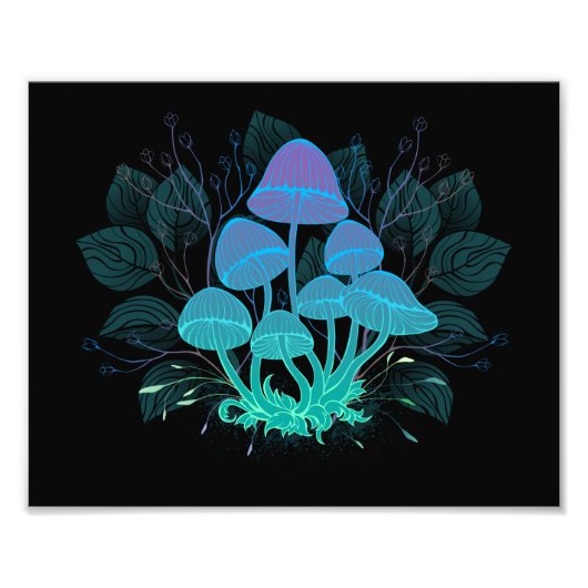 茂みの中のトアドストール フォトプリント            (正面)