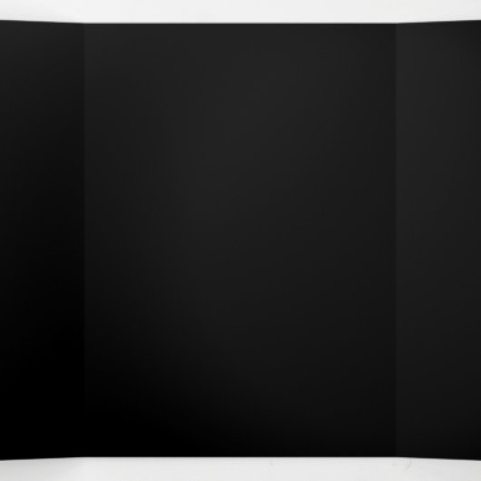 茂みの中のトアドストール 三つ折りプログラム (内部中)