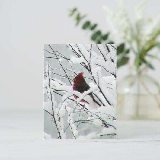 茂みの中の美しい赤い(鳥)ショウジョウコウカンチョウで覆われた ポストカード (スタンド正面)