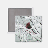 茂みの中の美しい赤い（鳥）ショウジョウコウカンチョウで覆われた マグネット (正面/裏面)