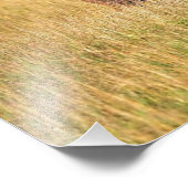 茂みの中の象の家族 フォトプリント            (角)