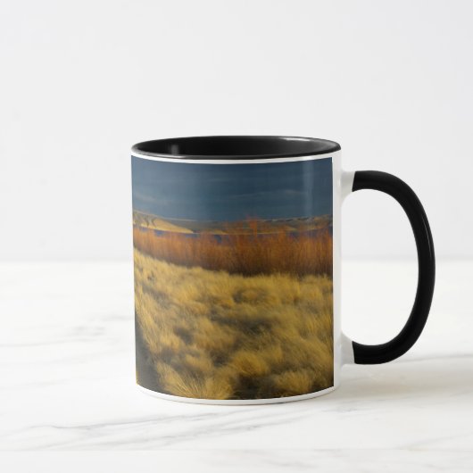 茂みの赤い樹皮が夕日に照らされる マグカップ (右)