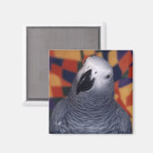 茂城 マグネット (正面/裏面)