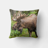 茂瀬 |アラスカ、ケナイ半島 クッション (裏面)