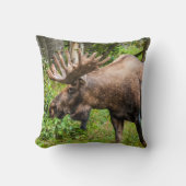 茂瀬 |アラスカ、ケナイ半島 クッション (正面)