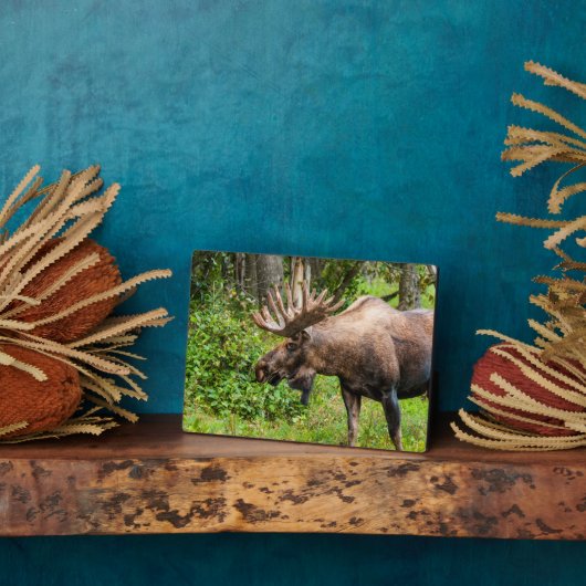 茂瀬 |アラスカ、ケナイ半島 フォトプラーク (側面)