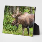 茂瀬 |アラスカ、ケナイ半島 フォトプラーク (側面)