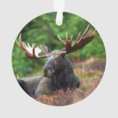 茂瀬 オーナメント (裏面)