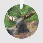 茂瀬 オーナメント (正面)