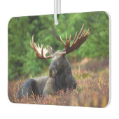 茂瀬 カーエアーフレッシュナー (左)