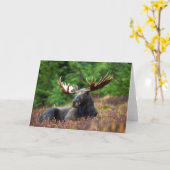 茂瀬 カード (黄色い花)