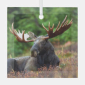 茂瀬 ガラスオーナメント (正面)